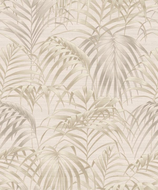JV602 Jaipur - Fern 6810