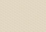 JV602 Jaipur - TrianglesTr 6830