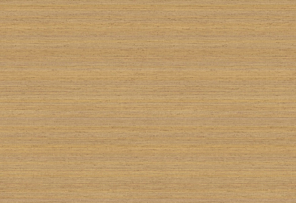 JV602 Jaipur - UniSoieTr M 6855