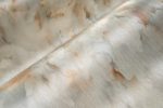 Moooi GreenHouse Silk Bombis MO5010