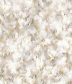 Moooi GreenHouse Silk Bombis MO5012