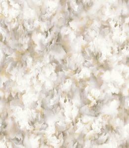 Moooi GreenHouse Silk Bombis MO5012
