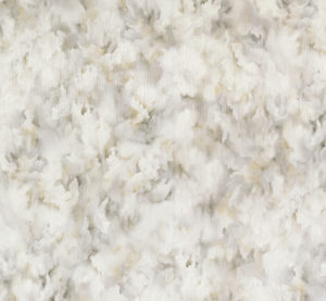 Moooi GreenHouse Silk Bombis MO5012