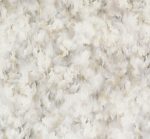 Moooi GreenHouse Silk Bombis MO5012