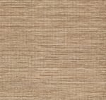 Arte Pampas Sombra 73545