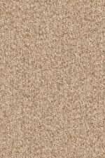 Merino Montagna 63527