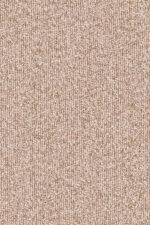 Merino Montagna 63528