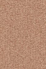 Merino Montagna 63529