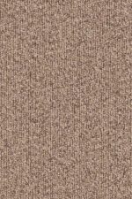Merino Montagna 63530