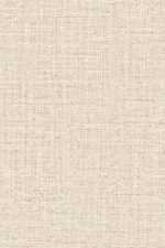 Merino Ovillo 63541