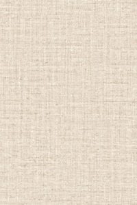 Merino Ovillo 63541