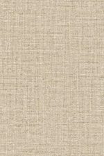 Merino Ovillo 63542