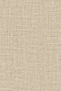Merino Ovillo 63542
