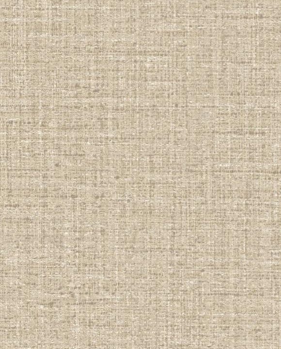 Merino Ovillo 63542