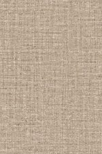 Merino Ovillo 63545