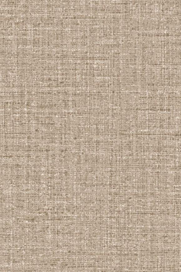 Merino Ovillo 63545