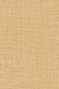 Merino Ovillo 63548