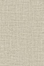Merino Ovillo 63553