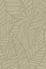 Tali Strelitzia 60740