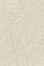 Tali Strelitzia 60744