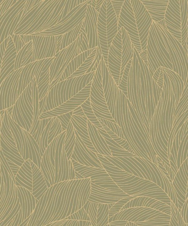 Hosta 7660 2548