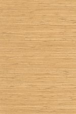 Gradient 52402