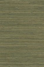 Gradient 52405