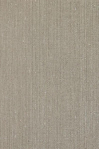 Chunky Weaves HookedOnWalls Dupion 30621