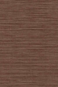 Tribu Kasai 29341 Packshot